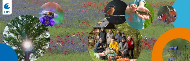 Natur im Netz bei LBV Landesbund für Vogelschutz in Bayern e.V.