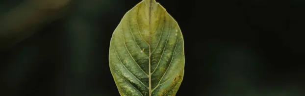 Unterstütze die Pflege der vielen Naturschutzgebierte in Leverkusen-Köln by NABU Leverkusen