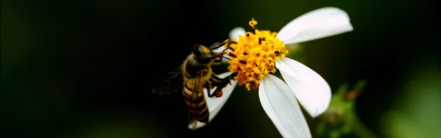 BFD im Naturerlebnisgarten Hamburg bei BUNDjugend Hamburg