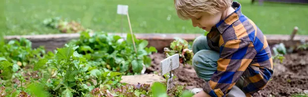 Sozial- und Umweltpädagogisches FÖJ beim Bauspielplatz in Magdeburg by Stiftung Umwelt, Natur- und Klimaschutz des Landes Sachsen-Anhalt