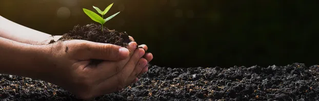 Engagiere dich für unseren Naturschutz mit einem FÖJ in Magdeburg bei Stiftung Umwelt, Natur- und Klimaschutz des Landes Sachsen-Anhalt