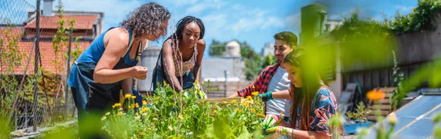 ÖBFD im Stadt-/StattGarten Bebelhof bei Stiftung Umwelt, Natur- und Klimaschutz des Landes Sachsen-Anhalt