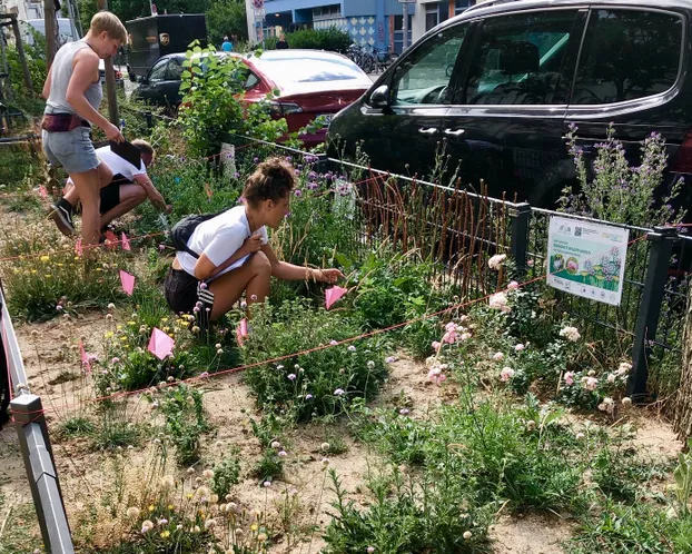 GreenKiez: heimische Biodiversität und nachhaltige Grünpflege auf der Bänsch-Promenade! by 1) GreenKiez e.V. 2) Kiezbüro im Samariterviertel