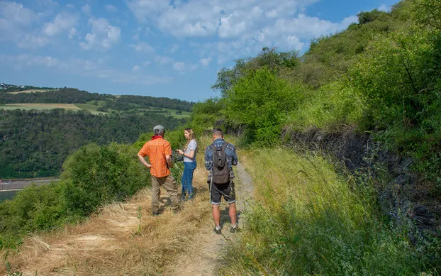 Praktikum Marketing m/w/d bei Naturefund e. V.