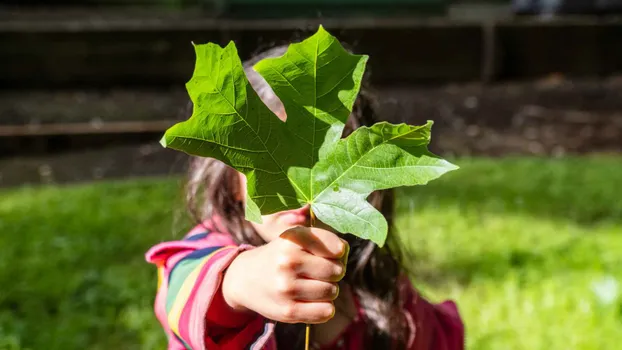 Mitbetreuung in den NABU Kindergruppen