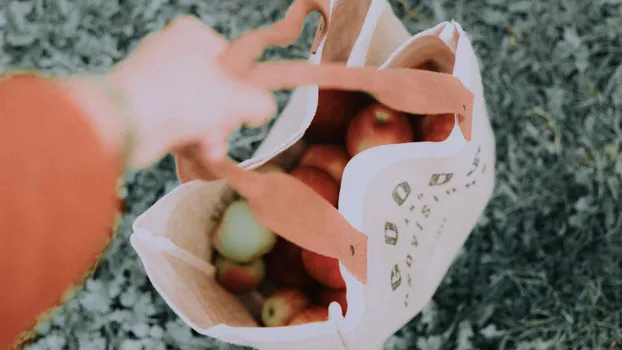 Lebensmittel vor der Tonne retten bei foodsharing Mainz