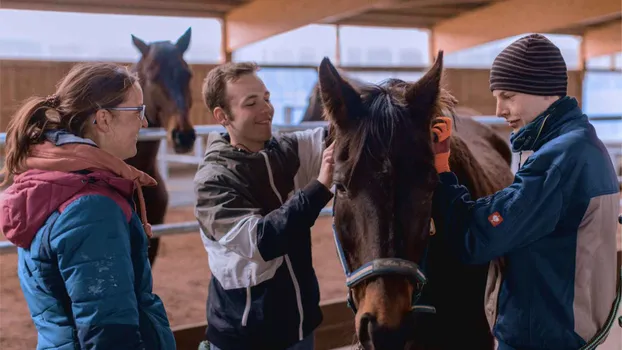 Reiten und Umgang mit Pferden für Kinder und Jugendliche im Reit- und Fahrverein Heuchling