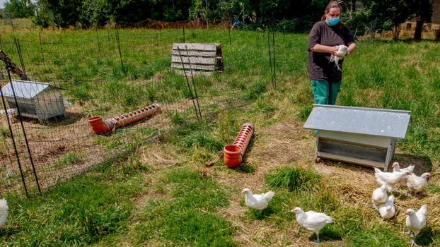 AG Bau in Rotkäppchens Garten bei Gemeinsam gärtnern, bauen und lernen im Bremer Viertel