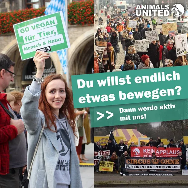 Werde Mitstreiter*in in unserer ANIMALS UNITED Aktionsgruppe Köln by ANIMALS UNITED e. V.