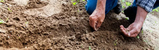 Praktikum im Landbau bei Naturefund e. V.