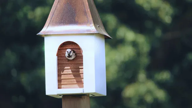 Mit Herz und Hand für die “Jäger der Nacht” – Fledermausschutz in Mittelfranken by Landesbund für Vogel- und Naturschutz in Bayern e.V.