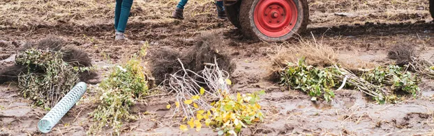 Unterstütze das TreePlantingProject in Nürnberg by TreePlantingProjects