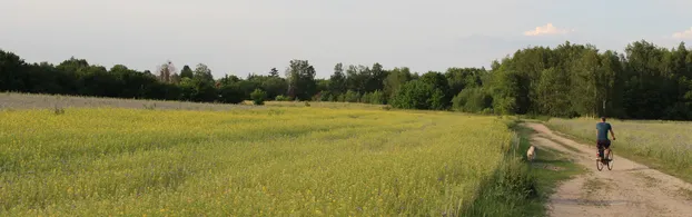 Werde Teil von FrohLaWi - Solidarische Landwirtschaft! bei FrohLaWi e.V.