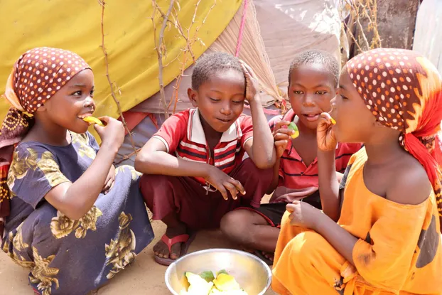 Wir suchen Unterstützung für unser Fundraising-Team! by Gesundes Afrika e.V.