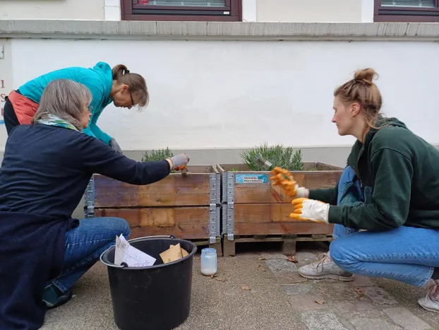 Urban Gardening - Pflanzkisten pflegen und bepflanzen  by Klimazone Bremen-Findorff e. V. 