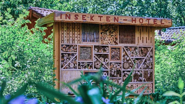 BFD - im Bereich Tierschutz