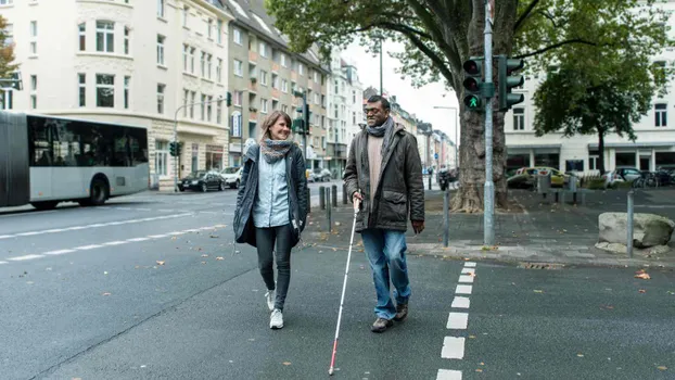 (Sprach-) Paten, Begleitung zu Ämtern oder Ärzten, UnterstützerInnen für Integrationsprojekte