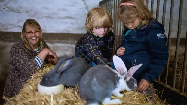 Unterstützung für das Tierheim in Osterode gesucht