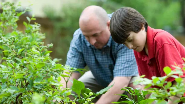 Grüner Daumen zur Unterstützung bei Gartenarbeiten