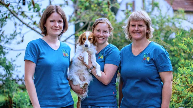 Fahrdienst für Futterspenden & zum Tierarzt - Mitarbeit in der Arbeitsgruppe Außendienst bei Tierschutz Halle e.V.