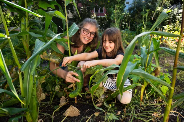 Werde AckerCoach und begeistere Kinder für Gemüse in Frankfurt by Acker e. V.