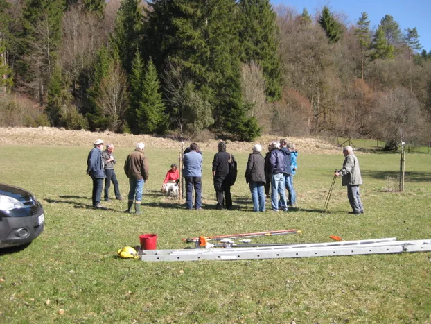 „Auf der Streuobstwiese im Hessental – lernen wie man Obstbäume schneidet“
