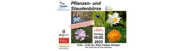 Pflanzen- und Staudenbörse 10.05.2025, 10.00 - 12.00 Uhr, Altes Freibad, Schmiechastraße 231, 72458 Albstadt-Ebingen