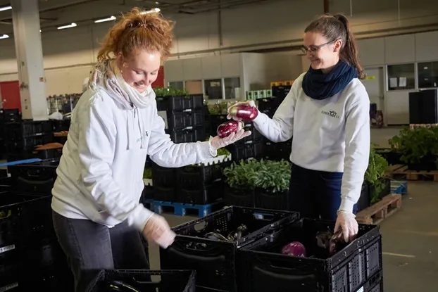 Flexible Hilfe gesucht: Anpacken im Lager der Berliner Tafel