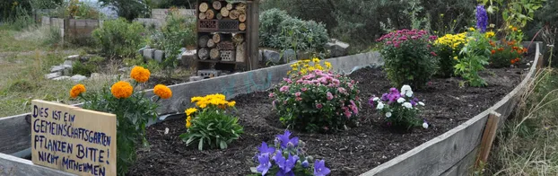 Bürgergarten Helle Oase - gemeinsam gärtnern bei Bürgergarten Helle Oase