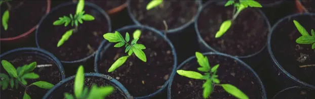 Mitmachen im Gemeinschaftsgarten by Querbeet- offener Garten