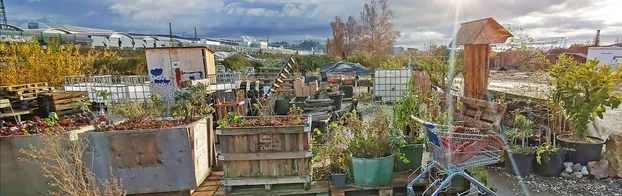 Urbaner Garten Inselgrün by Kulturinsel Stuttgart gemeinnützige GmbH