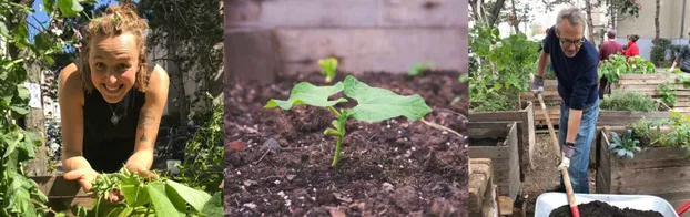 Gemeinsam Gärtnern im Grünen Leo! bei Grüner Leo Gemeinschaftsgarten