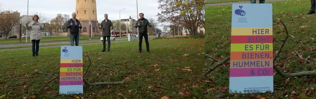 Mehr Blühwiesen in der Stadt Halle (Saale) bei Blühwiese Halle, Regionalgruppe im Netzwerk Blühende Landschaft