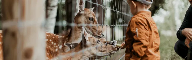 FÖJ im Tierpark Eilenburg by Sächsische Landesstiftung Natur und Umwelt