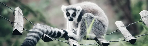 FÖJ im Tiergarten Delitzsch by Sächsische Landesstiftung Natur und Umwelt