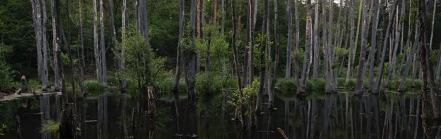 ÖBFD im Flächenmanagement der Stiftung Naturschutzfonds Brandenburg bei IJGD Brandenburg