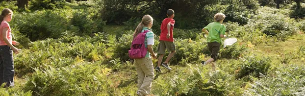 FÖJ im Waldkindergarten Hobbits bei Diakonie Baden Württemberg