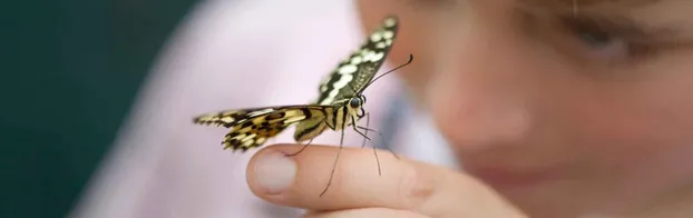 Naturpädagogische Angebote gestalten by BUND Ortsverband Waiblingen / Korb