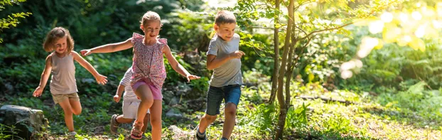 FÖJ im Waldkindergarten Wurzelkinder Calw
