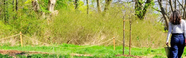 Mach Halle (Saale) mit uns essbar, zukunftsfähig und klimafreundlich! bei FoodForest Halle e.V.