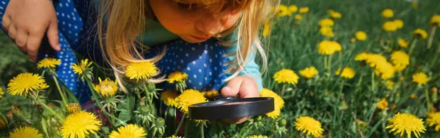 ÖBFD in der Elbkinder Kita Scheplerstraße bei IJGD Niedersachsen