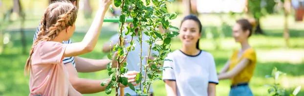 Naturschutz und Grünpflege in der Moabiter Waldstraße bei Moabit-Waldstraßen-Initiative