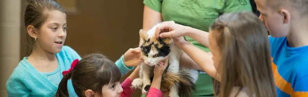 FÖJ in der Tierschutzjugend des Tierschutzvereins für Berlin by Jugendwerk Aufbau Ost JAO gGmbH