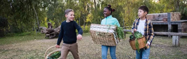 FÖJ in der Gartenarbeitsschule und Freilandlabor Schöneberg (Umweltpädagogik) bei Jugendwerk Aufbau Ost JAO gGmbH