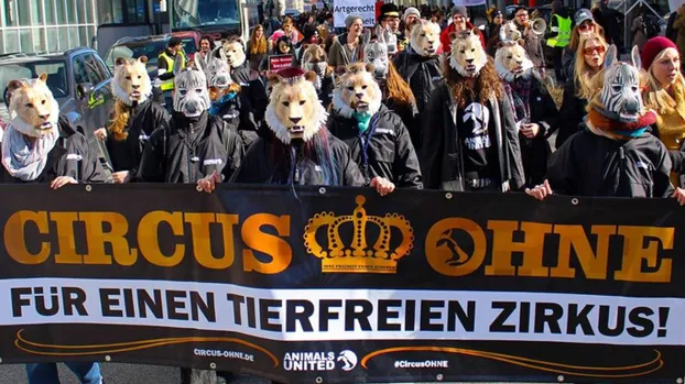 Macht euch stark für Tiere und ihre Rechte!