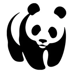 WWF Jugend Aktionen