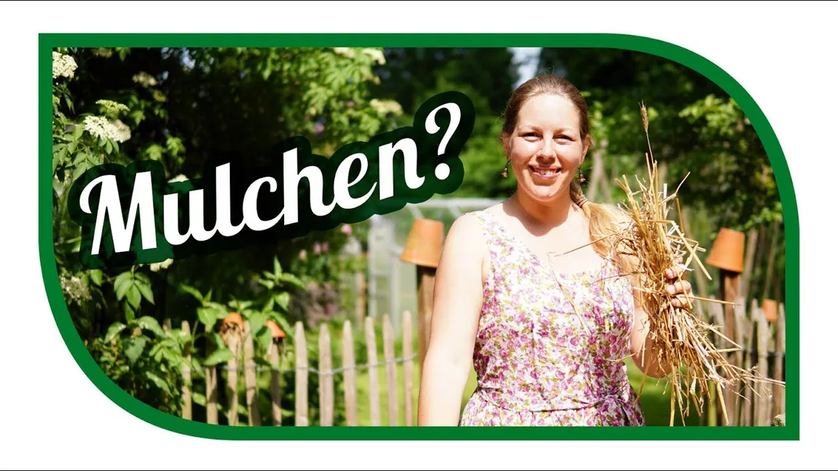 Mulchen im Garten und 💦 Wasser sparen 🍃 Bodenverbesserung im Garten