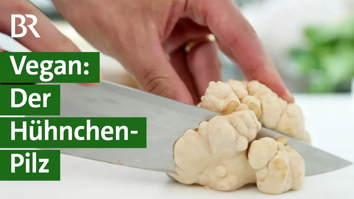 Vegane Delikatesse: Start-Up züchtet Hühnchen-Pilz | Chicken of the Woods | Unser Land | BR