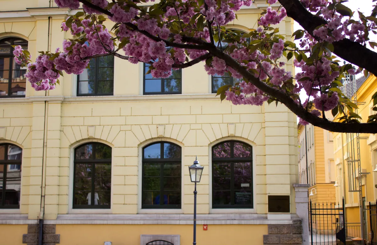 Schulmuseum Dresden e.V.