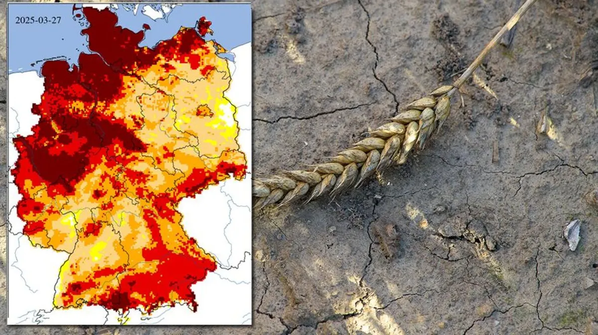 Dürre und Trockenheit in Deutschland: Karte zeigt die Lage 